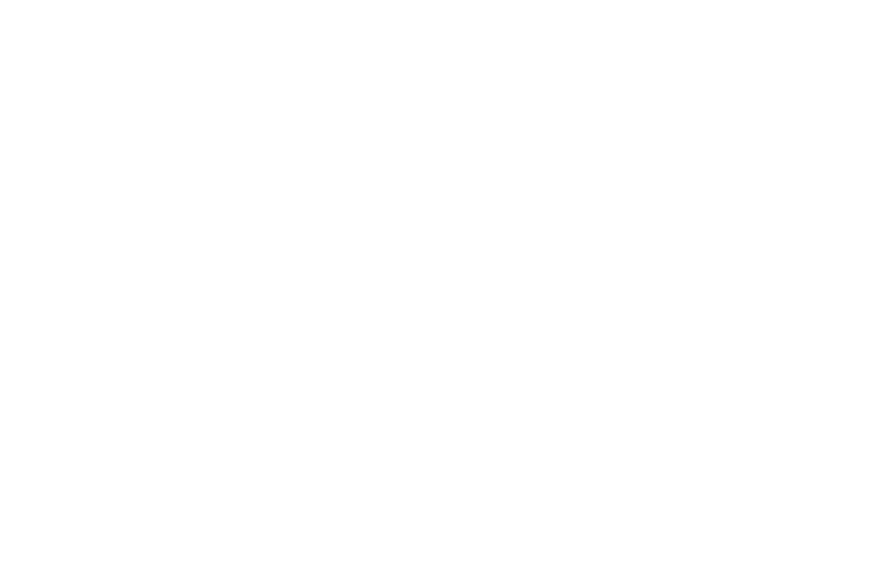 Esquema de automóvil en wireframe